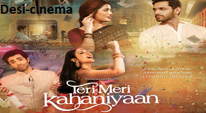 Teri Meri Kahaani (2023) Desi Movie Online-desi cinema
